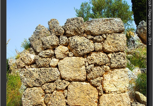 Dettaglio del muro poligonale